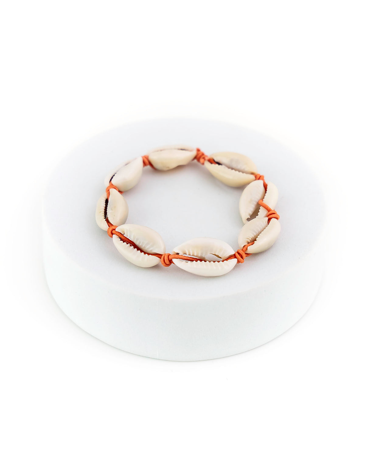 Bracelet made of cowrie shells on a white background